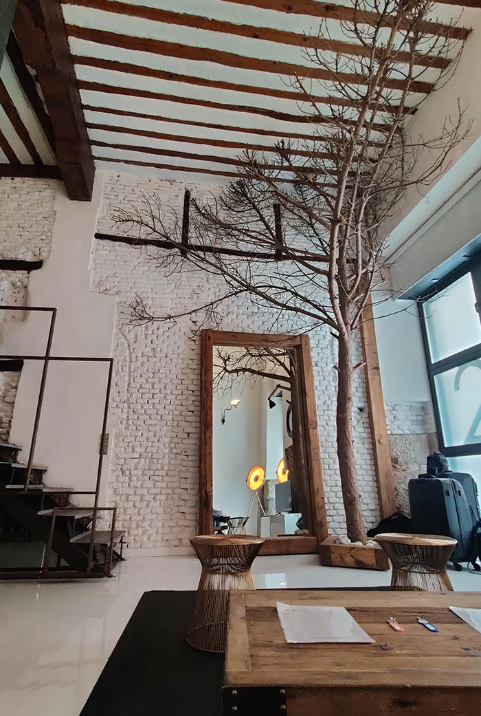 There Is A Tree In My Airbnb