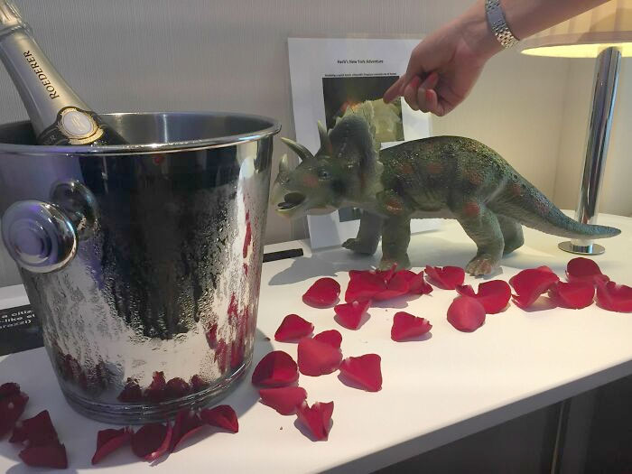 When I Booked My Hotel A Few Months Ago, I Put In A Few Special Requests As A Joke. Champagne, Roses And A Plastic Dinosaur