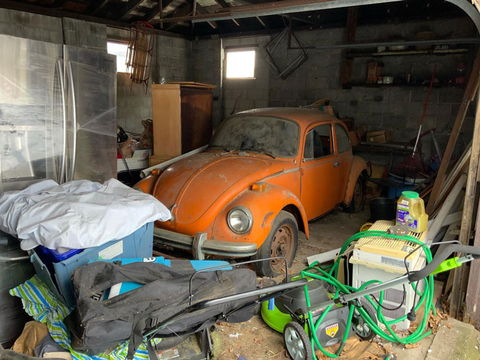 Found A Bug In The Garage!