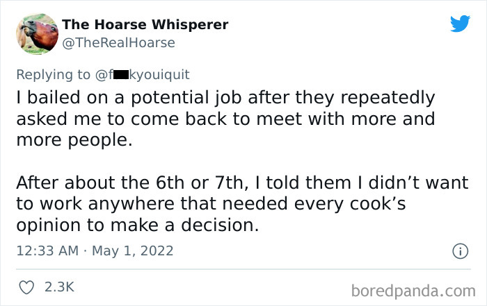 Company Sends An Email Explaining Why They Rejected A Candidate And The Internet Is Roasting Them Company Sends An Email Explaining Why They Rejected A Candidate And The Internet Is Roasting Them