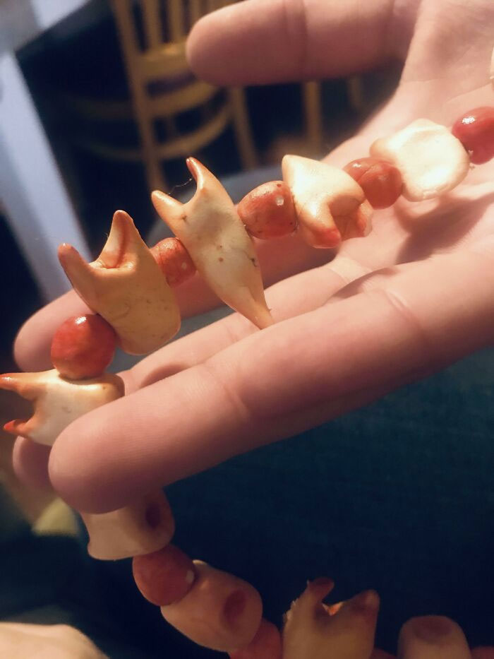 Mi hija me hizo un collar con dientes de arcilla que parece muy real