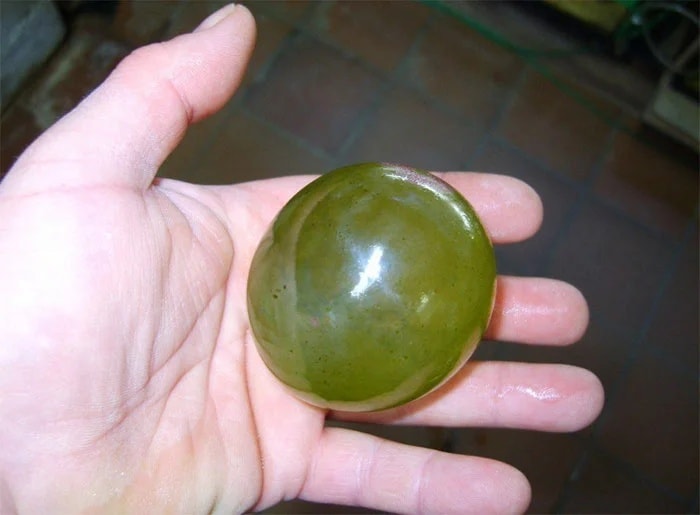 Valonia Ventricosa, The Largest Single-Celled Organism On Earth. Yep, This Is A Single Living Cell
