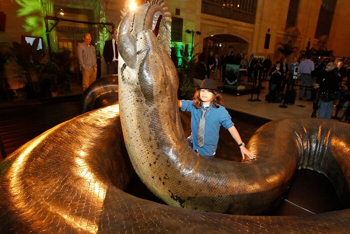 Scientifically Accurate Life-Size Replica Of Titanoboa Eating A Crocodile, The Biggest Snake To Have Ever Roamed The Earth