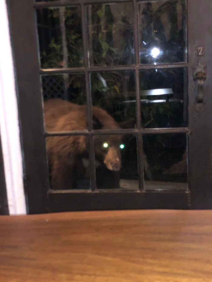 Was Playing Video Games When I Heard A Sounds To My Left. Looked Over And Saw This