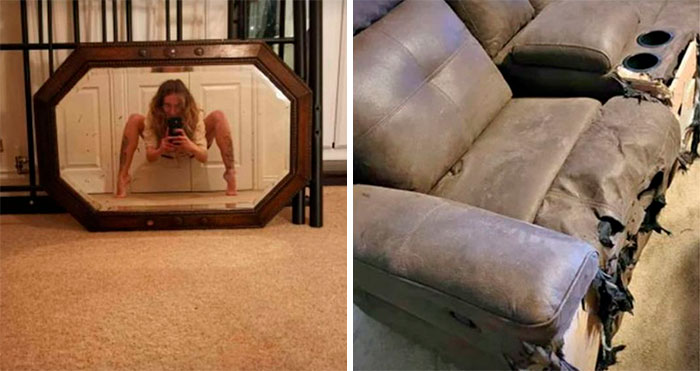 40 Hilarious And Bizarre Things For Sale Online And In Real Life That Got Shamed On This Facebook Group