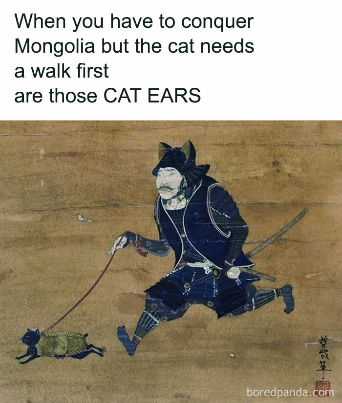 Cat Ears?