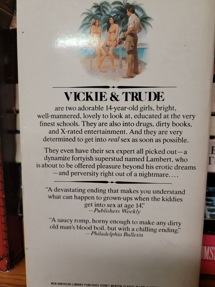 Now, The Book Might Not Be As Bad As The Blurb... But Dear God, The Blurb!