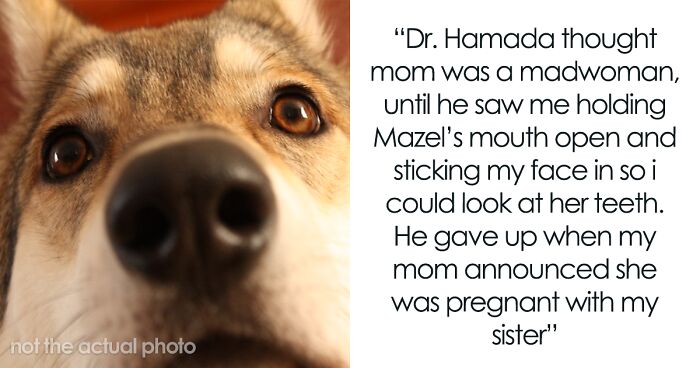 Woman Shares Entertaining Story Of How Her Mom Accidentally Adopted A Wolf-Husky Hybrid That Turned Out To Be The Most Wholesome Dog Ever