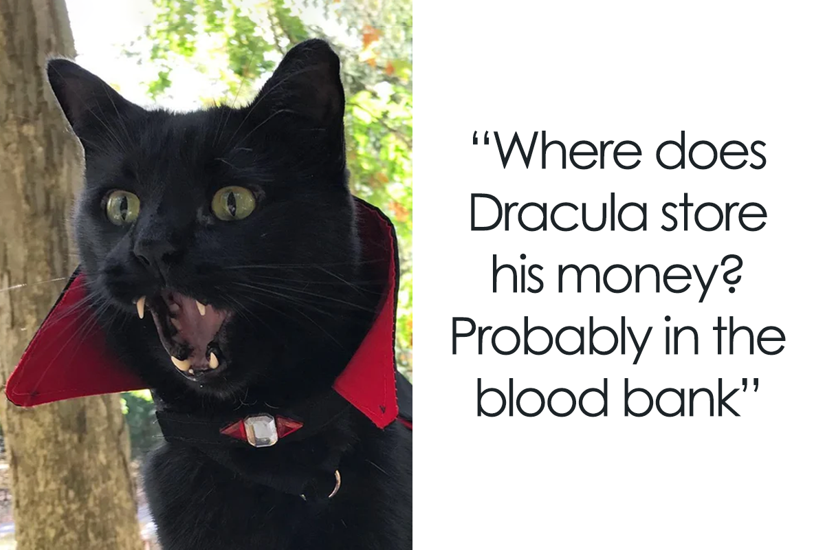 120 Money Jokes That You Might Like To Cheque Out Bored Panda