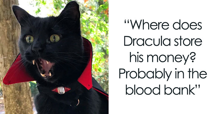 120 Money Jokes That You Might Like To Cheque Out