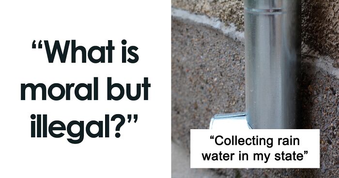 “What Is Moral But Illegal?”: 30 People Are Sharing Some Of The Dumbest Laws Around The World