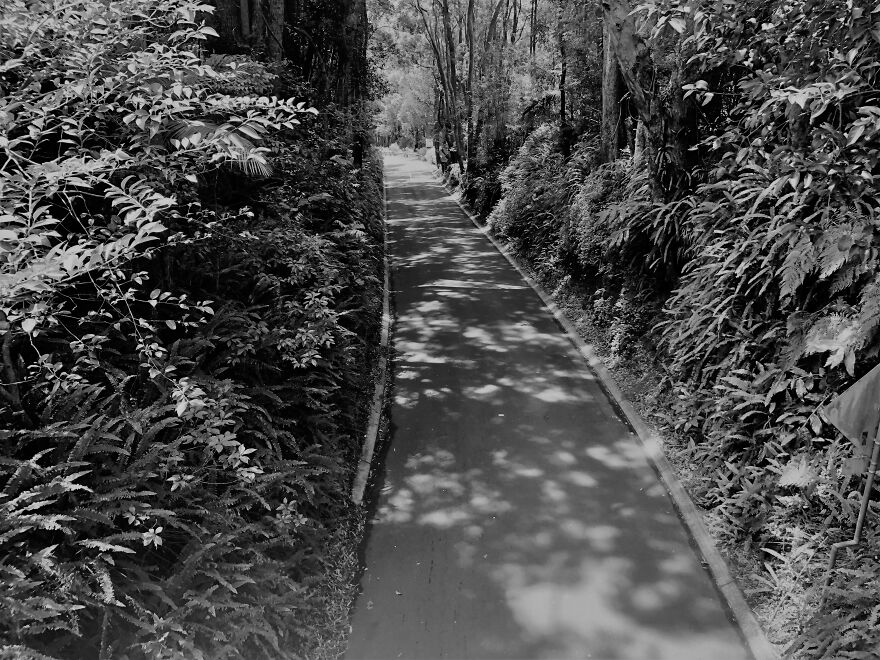 Mildly Good Photography By Me (8 Pics)