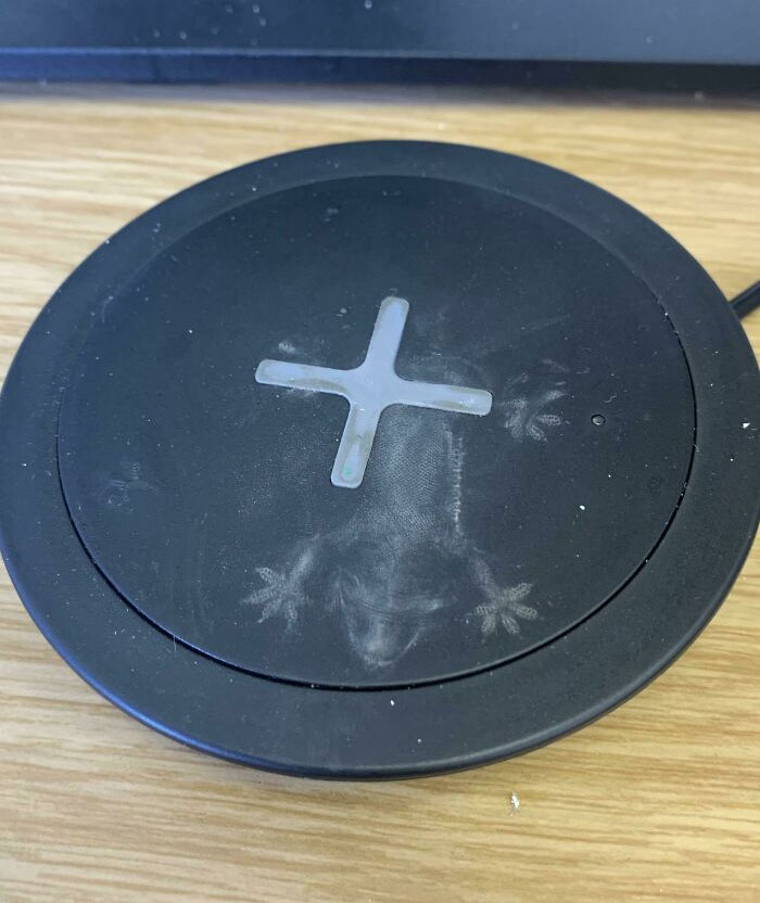 A Lizard Fell From The Ceiling And Left This Dusty Imprint On My Wireless Charger