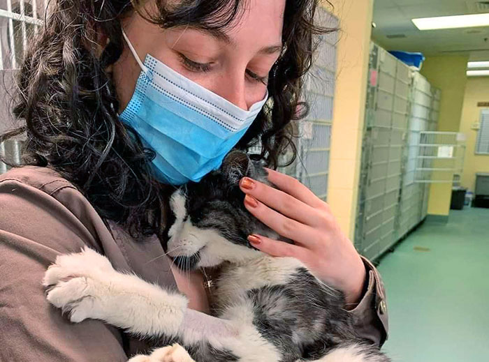 Esta mujer adoptó a este gato de 20 años de un refugio porque no quería que pasara el final de su vida solo en una jaula