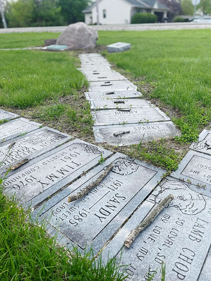 Alguien colocó un pequeño palo en cada una de las tumbas de perros de este cementerio