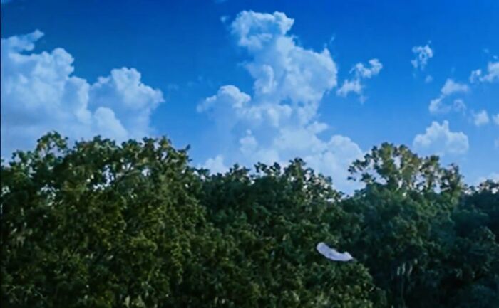 An Easy One To Guess