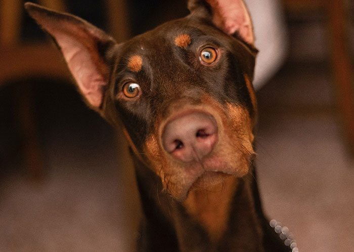 40 Of The Eeriest Things Kids Have Ever Said To People That Sent Chills Down Their Spines