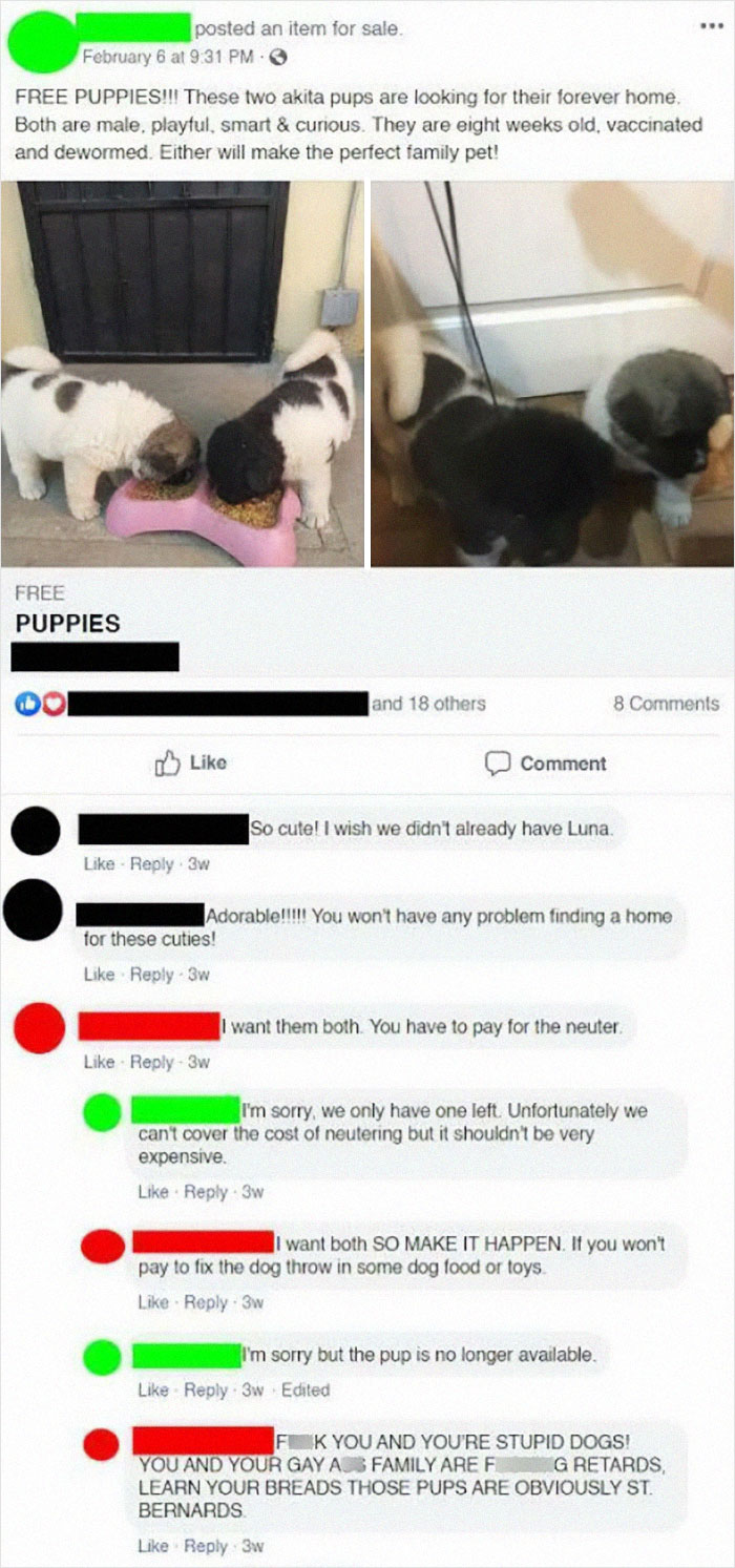 This Lady Demands The Neutering Of Two Free Puppies, Then Freaks Out And Claims That The Poster Doesn’t Know Anything About “Dog Breads”