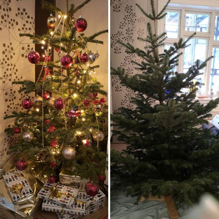 Two Types Of People Decorating Christmas Trees