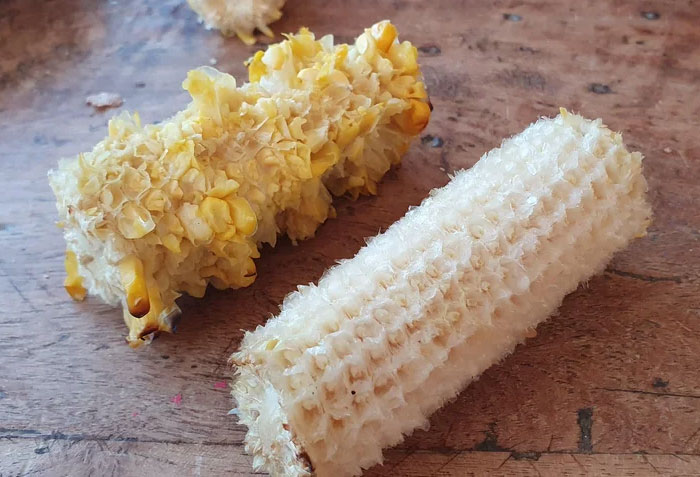 The Difference Between How My Brother And My Girlfriend Finish Their Corn