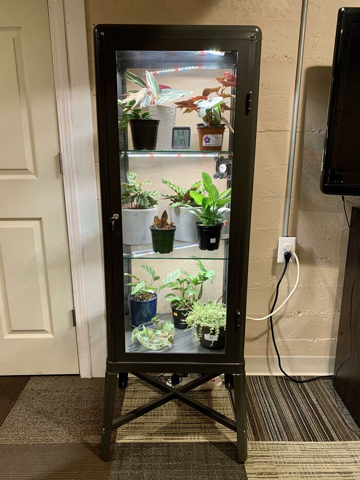 I Used The Fabrikor Cabinet To Build An Indoor Greenhouse!