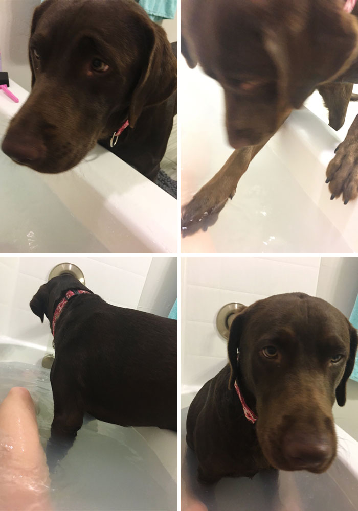 I Was Trying To Enjoy A Nice Bath, But