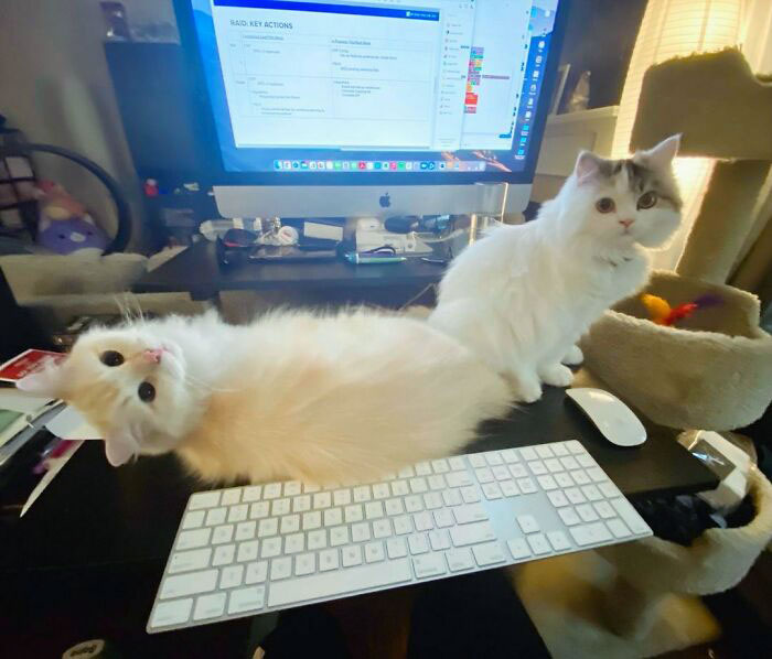 We Sit Here While You Work, Okay?