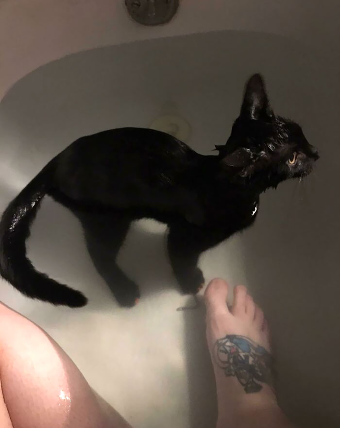 Didn’t Lock The Door, Ended Up With Company In The Bathtub
