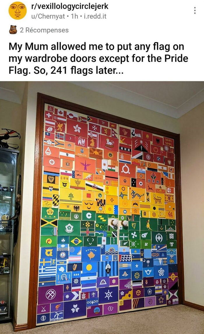 Flag Collector Finds A Loophole