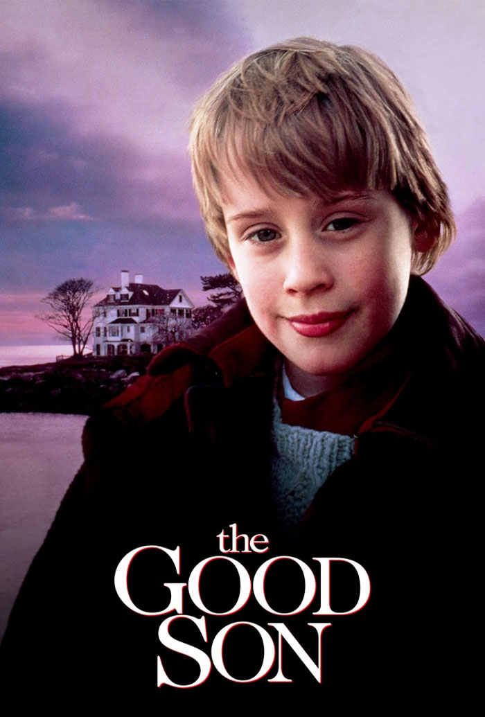 The Good Son