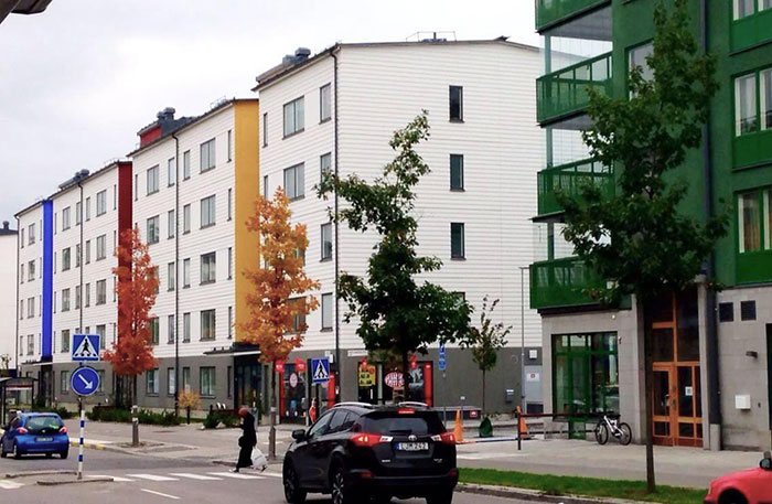 By Complete Coincidence, The Trees Along This Street Matched The Colors Of The Buildings