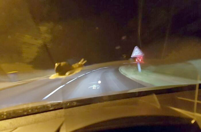 This Lucky Perspective Shot Makes It Look Like A Reckless Giant Snail Is Dangerously Overtaking The Car On The Turn