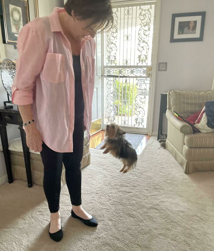 Caught My Aunt’s Dog Mid-Jump And She Looks Photoshopped