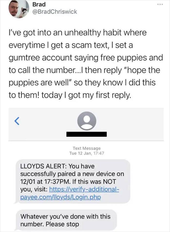 Scammer Getting Rekt 40 Scammers Who Got Baited And ‘Destroyed’ By The People They Were ...