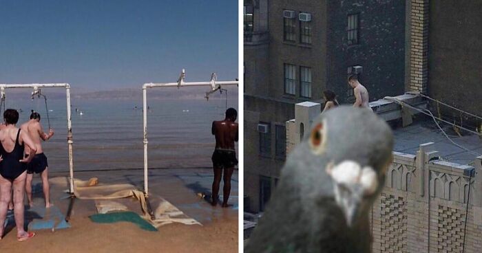 This Instagram Account Features Amusing Street Photographs And Has More Than 500 Thousand Followers (30 New Pics)