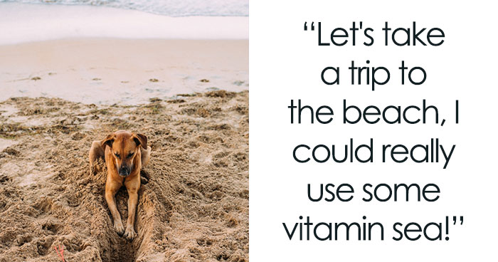 122 Summer Jokes That’ll Bring A Ray Of Sunshine To Your Day