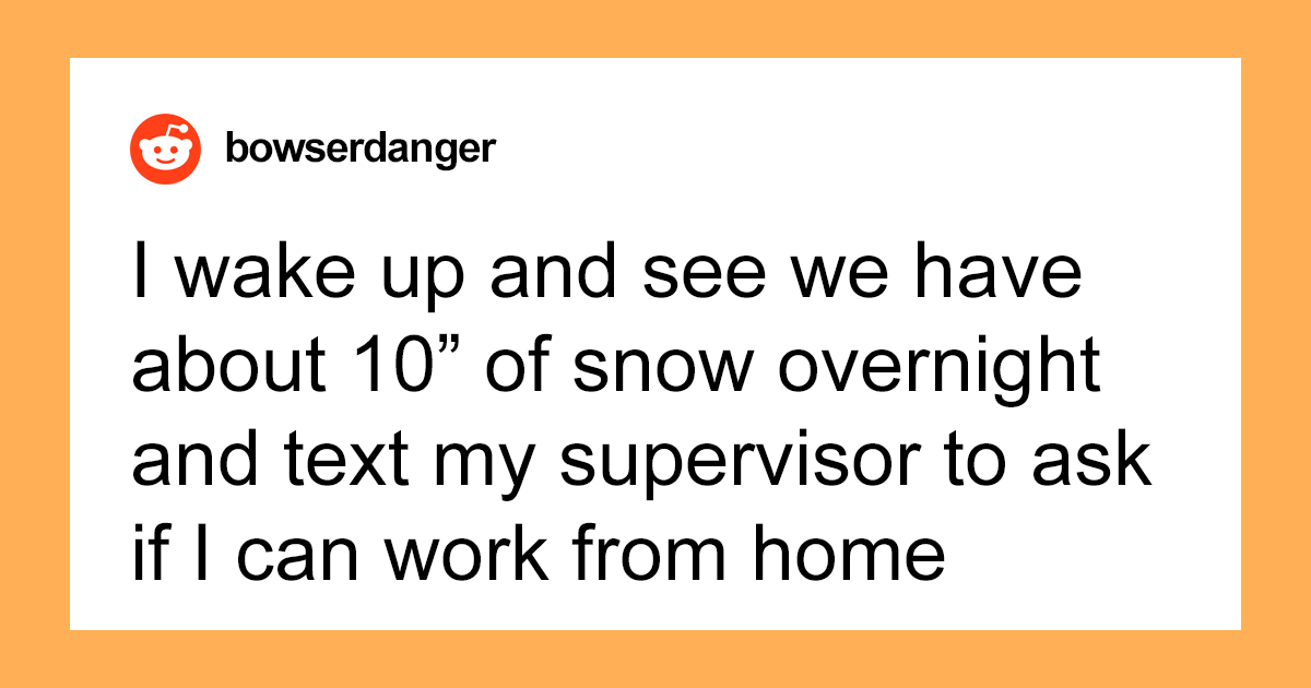 Boss Tells Employee They Can't Work From Home, Regrets It When They Use It To Their Advantage - Bored Panda
