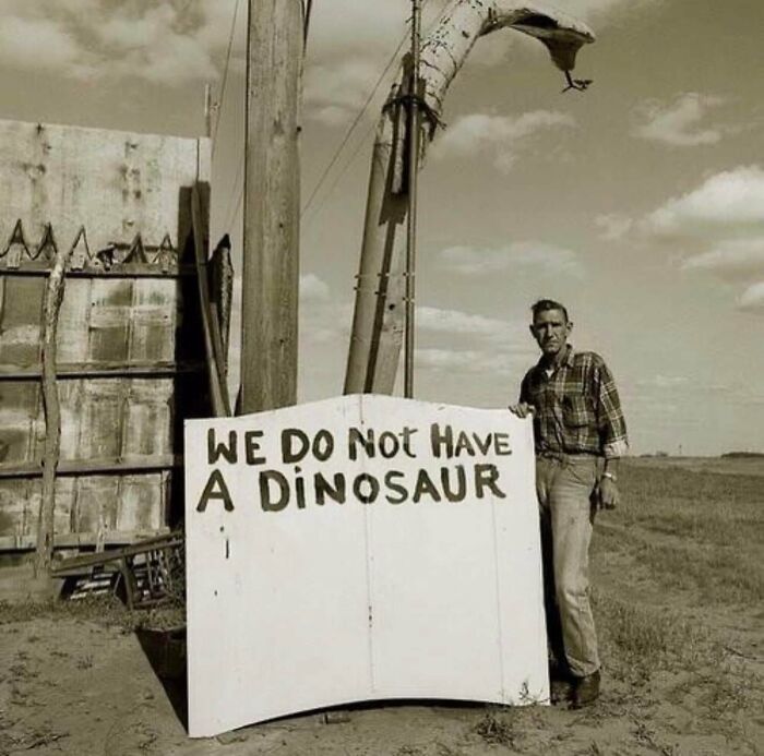 The-Absurd-Sign-Projects