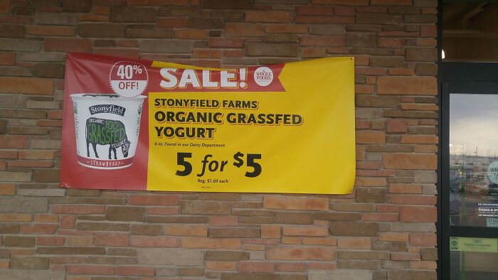 The-Absurd-Sign-Projects