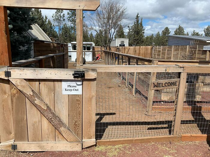 The-Absurd-Sign-Projects