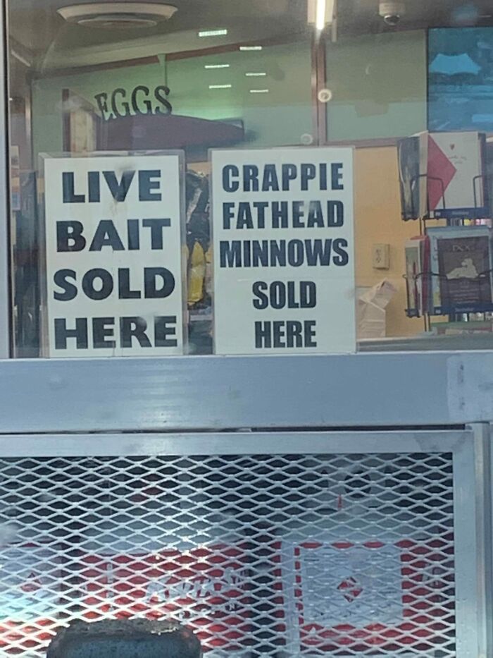 The-Absurd-Sign-Projects