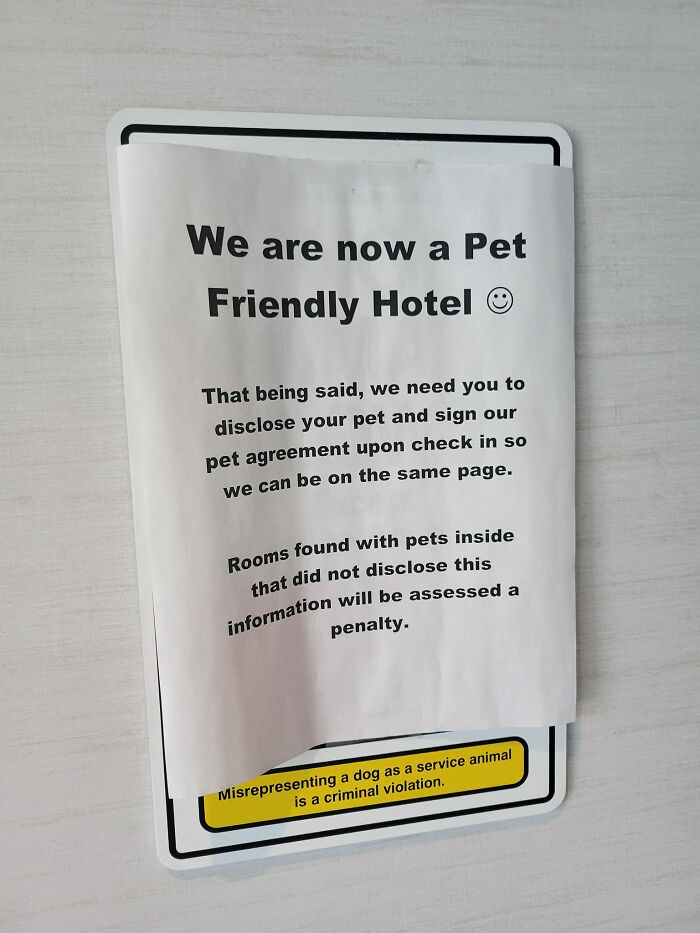 The-Absurd-Sign-Projects