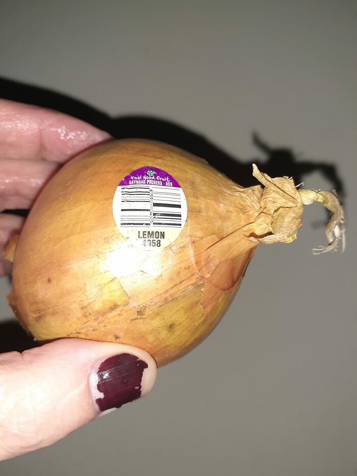 The-Absurd-Sign-Projects