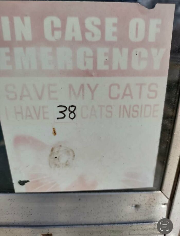 The-Absurd-Sign-Projects