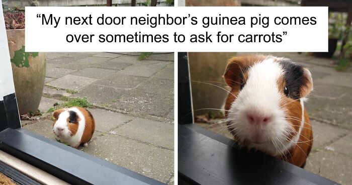 65 Posts From The “Wait This Is Wholesome” Facebook Group To Restore Your Faith In Humanity