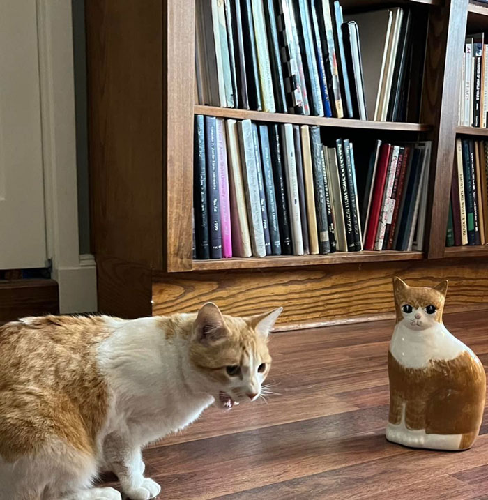 I Got This Ceramic Cat At A Resale Shop Last Weekend And It Was Worth Every Bit Of The $6 It Cost, Because First I Got To See My Teenage Son’s Reaction When He Found It In His Easter Basket, And Then I Got To See My Cat’s Reaction When He Met His Ceramic Twin