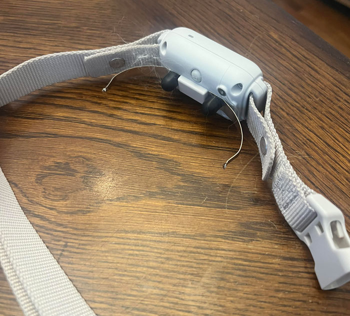 Is This A Shock Collar? My Dog Was Wearing It After Coming Home From Boarding