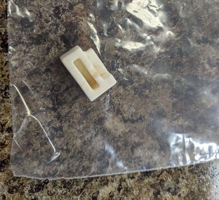 Surgically Removed From My Cat’s Stomach. We Are At A Loss As To What It Is.. Help? It’s Rubbery In Texture And Maybe About An Inch Long