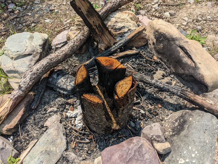 ¿Qué es este tronco extrañamente quemado que encontré en un camping?