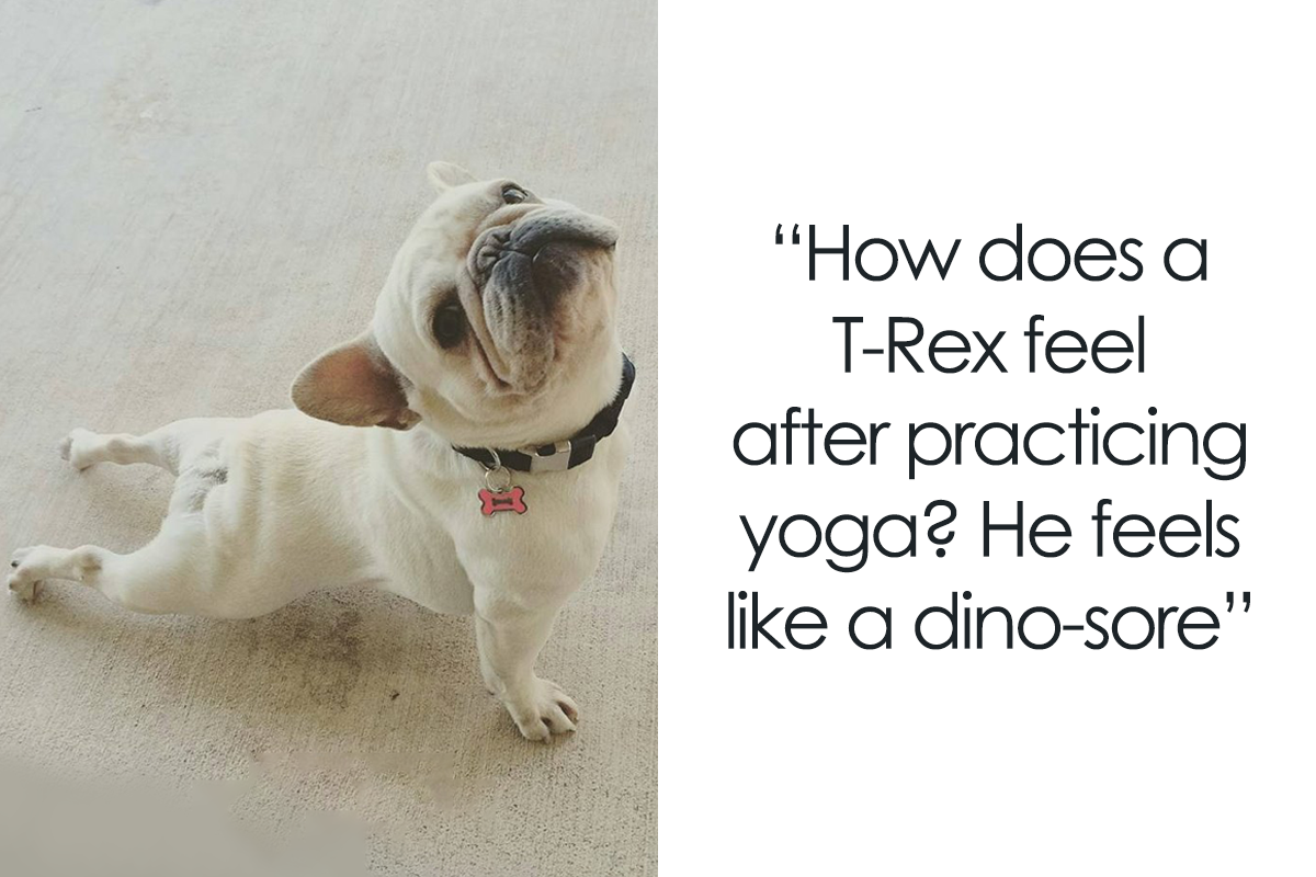 Funny Yoga Jokes And Puns That Will Have You Rolling On The Yoga Mat  Laughing | Bored Panda
